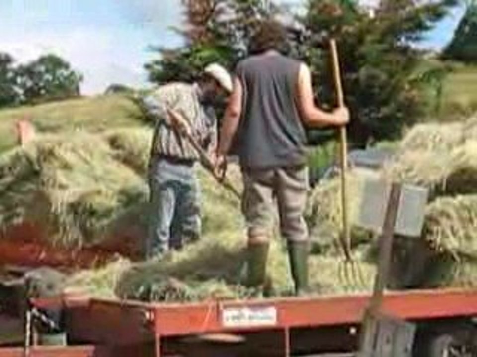20/06/09 déchargement du foin dans petite remorque
