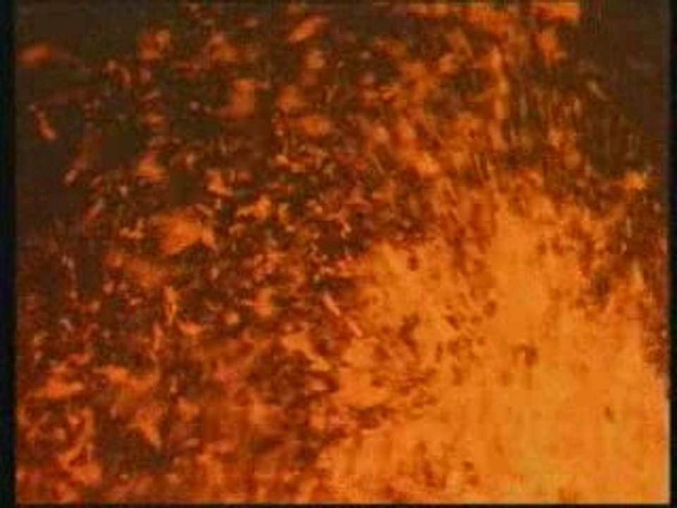 La Réunion, île d' aventure 3