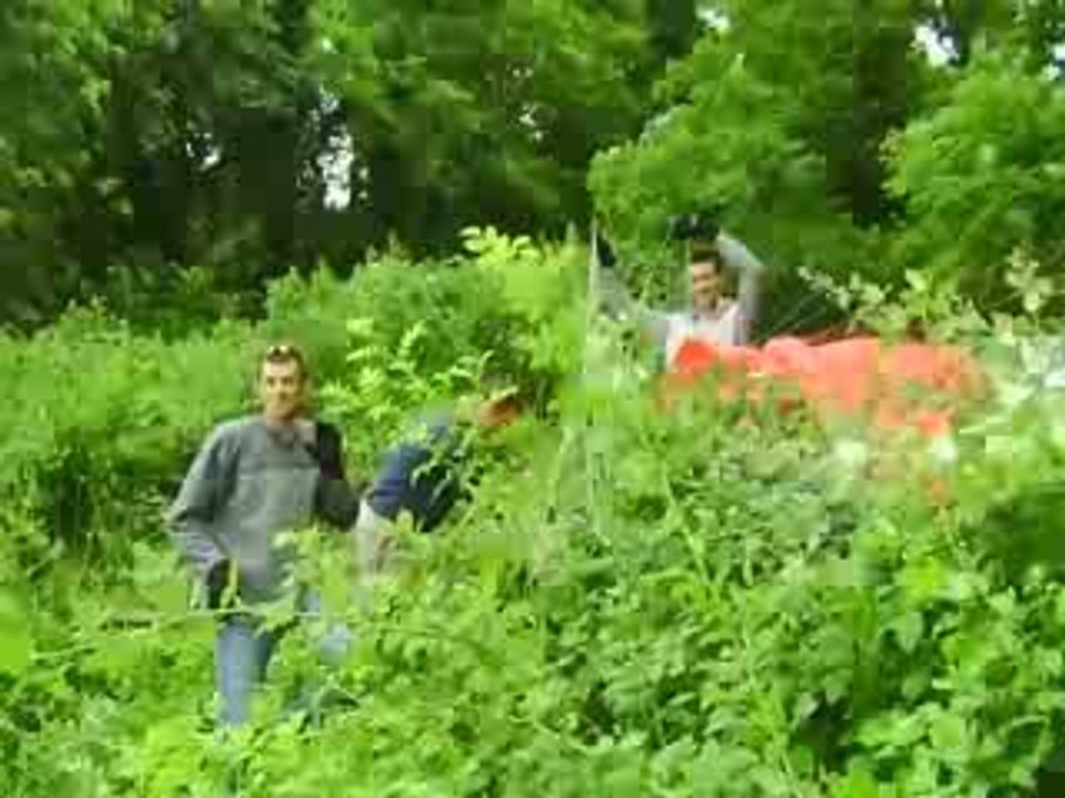 DD et l'arboriculture