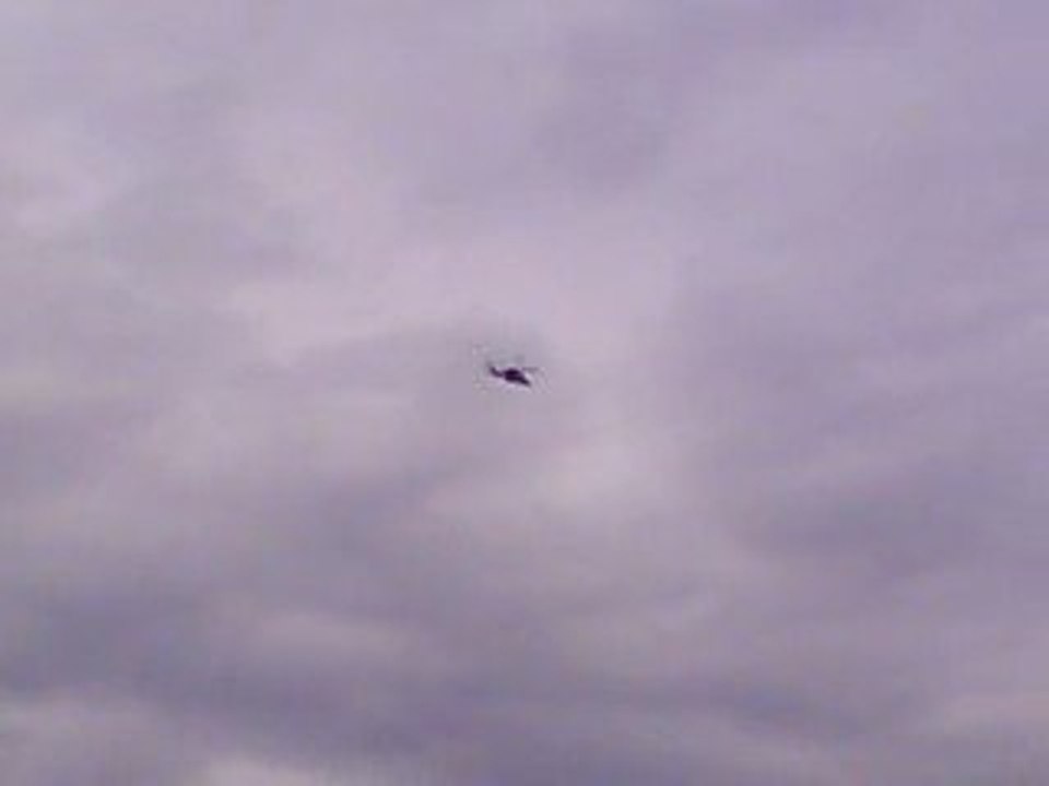 Bourget 2009 Tigre