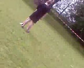 2D Forever: A Timeless Classic