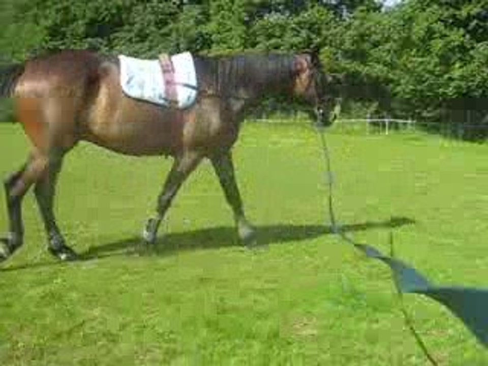Longe - Juin 2009
