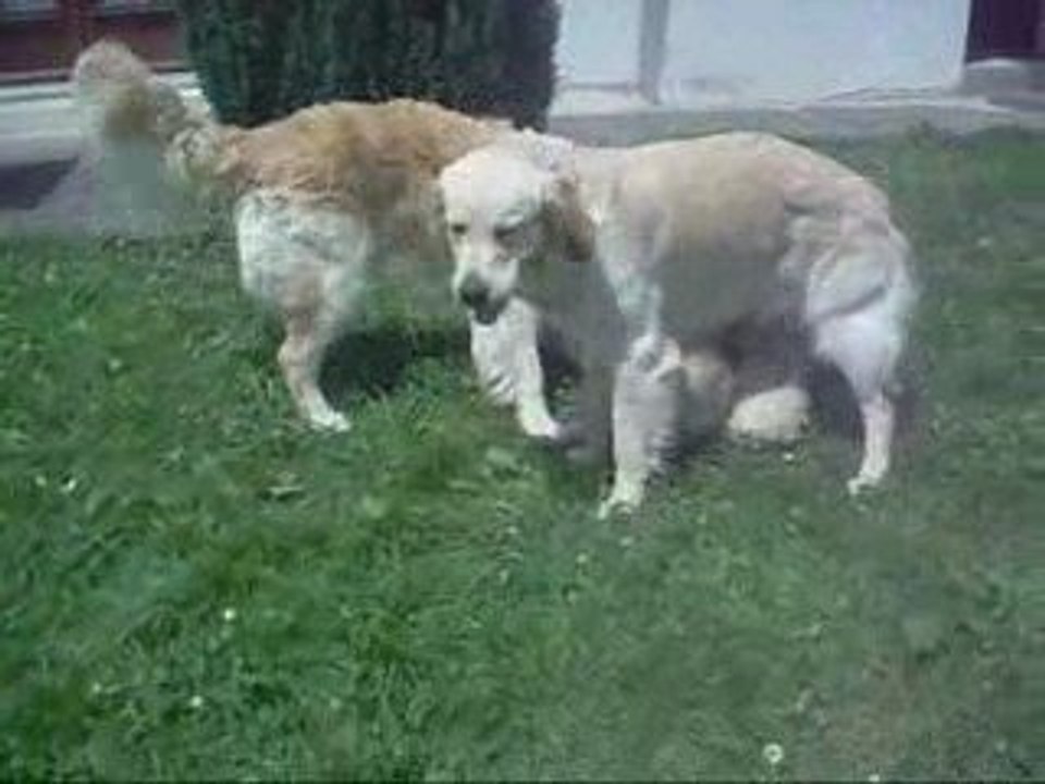 Canelle et Voy jouent