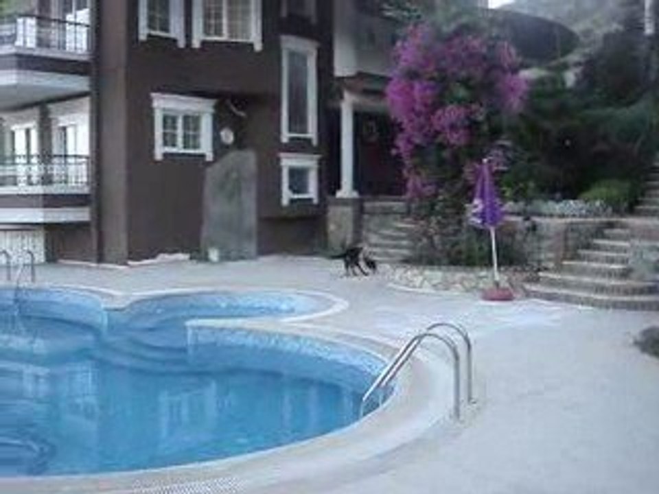 bahçe keyfi -2