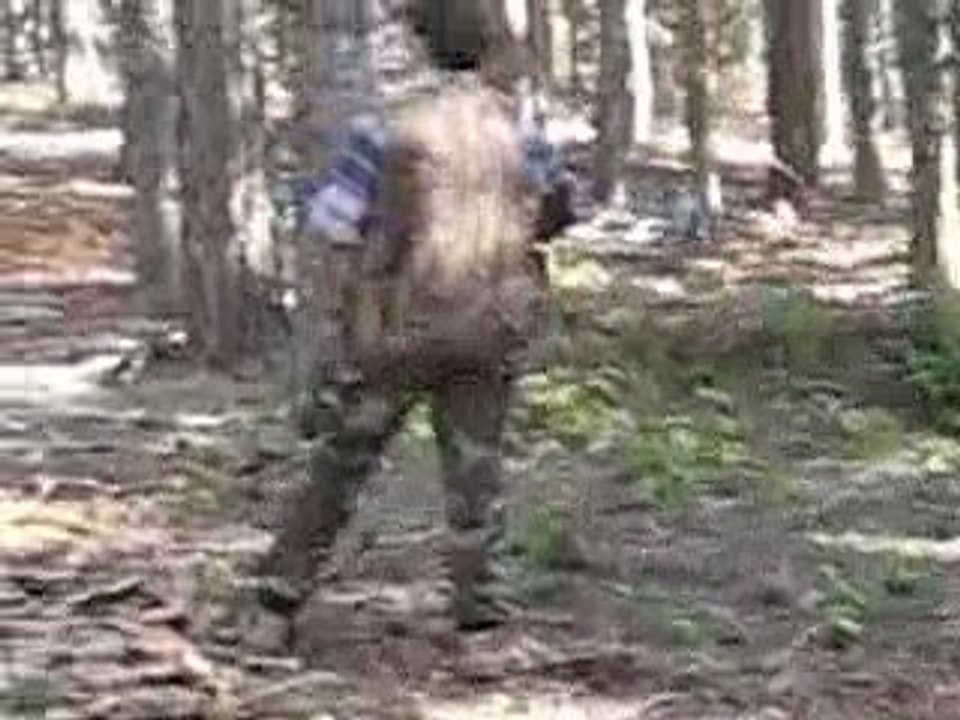 Çulluk