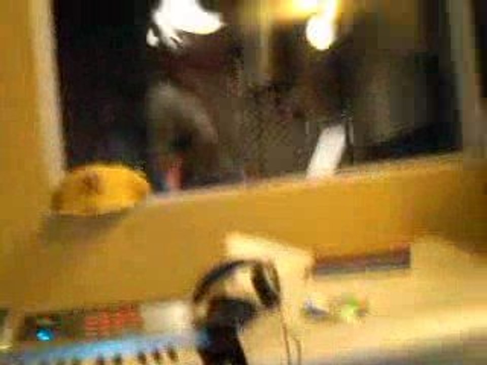 pitpit au studio
