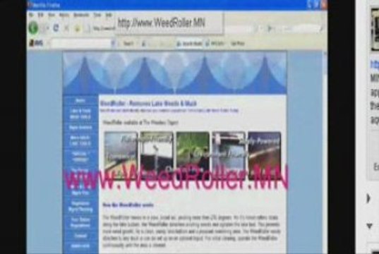 LAKE WEED CONTROL and MANAGEMENT