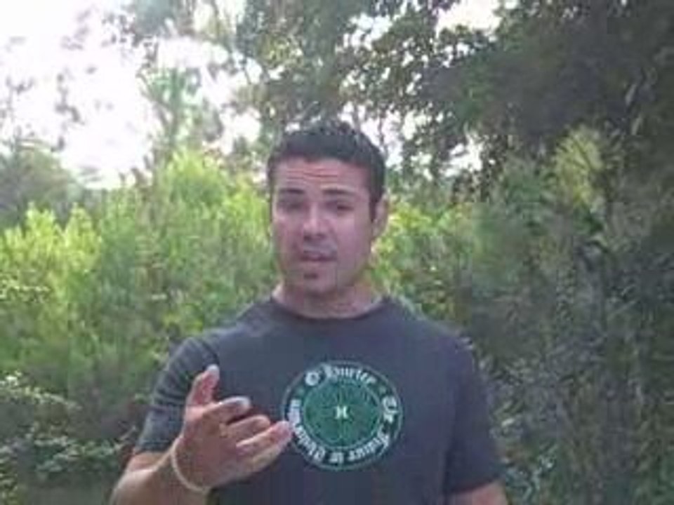 Naples Twitter Tips for local business owners