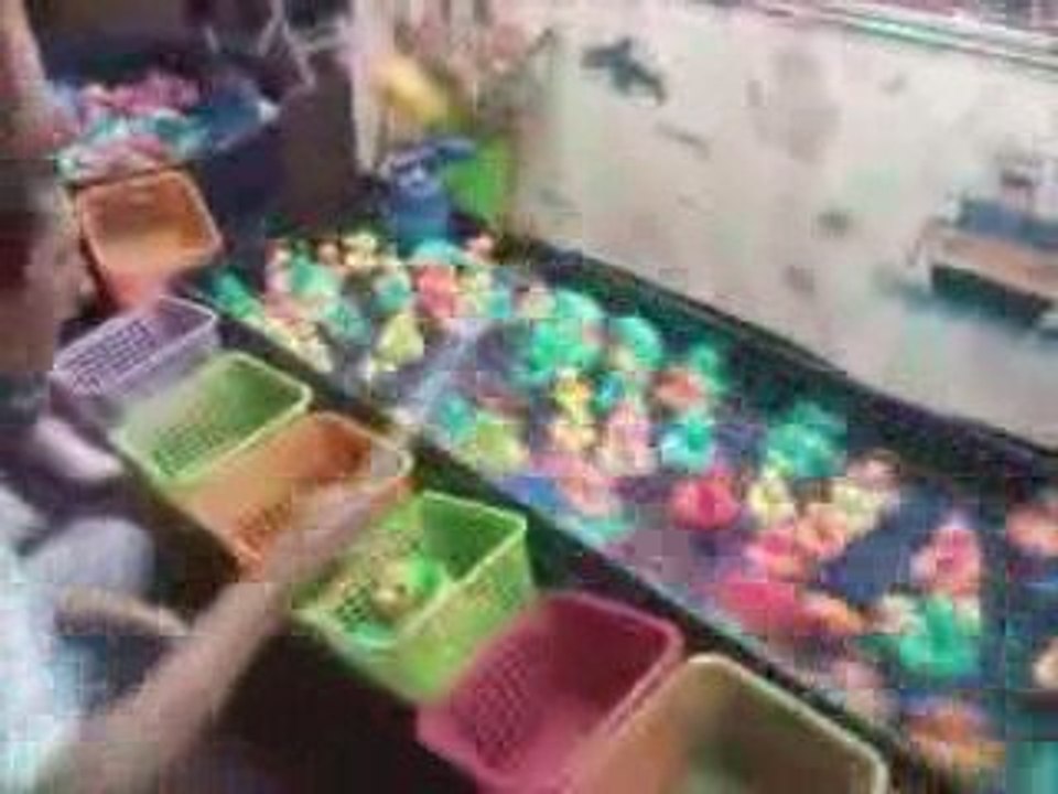 delire peche aux canards