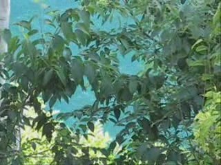 Il fiume Dragone - www.vesuvioweb.com