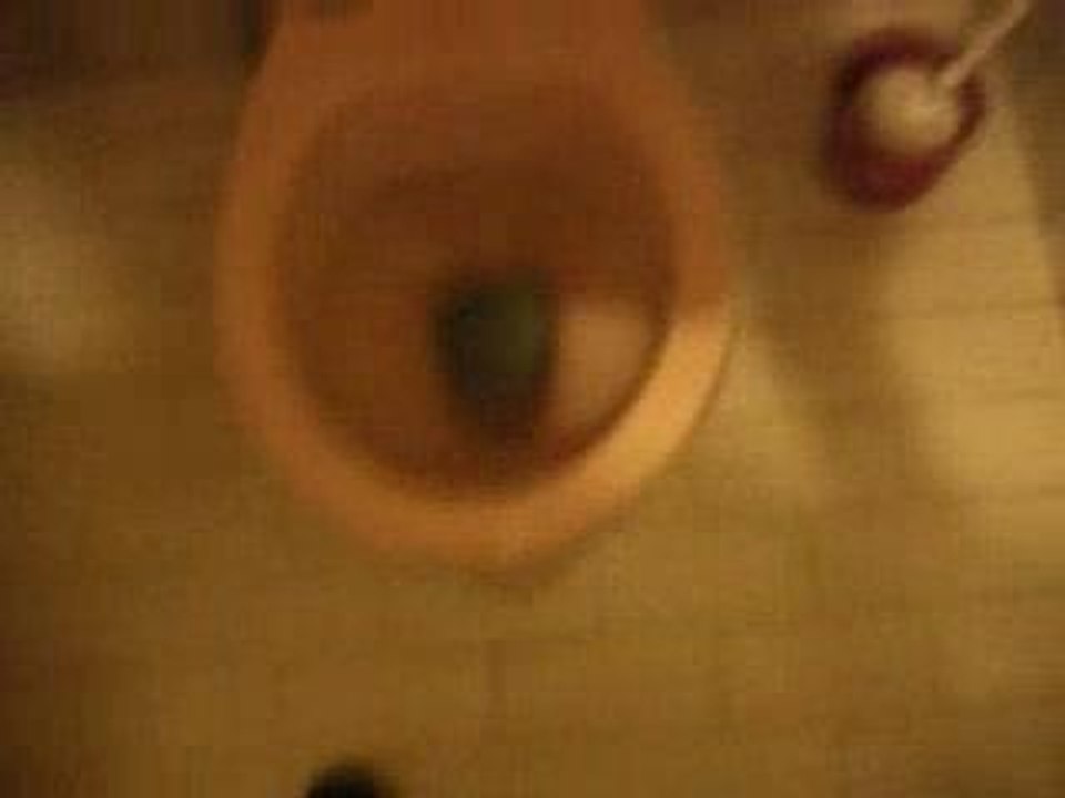 record de pisse