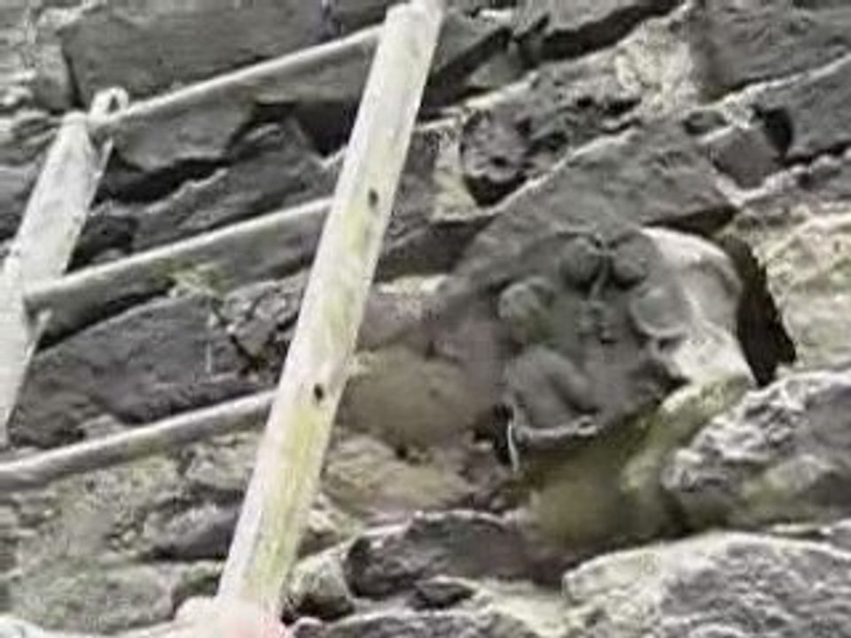 Extraction de l'homme au trèfle le 18 juin 2009 à Mozac