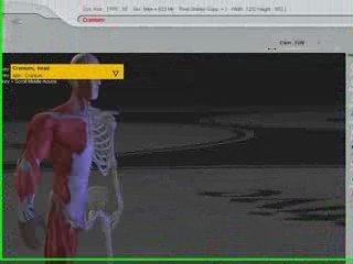 www.cloudstars.com - 3D Virtual Human Anatomy Studio