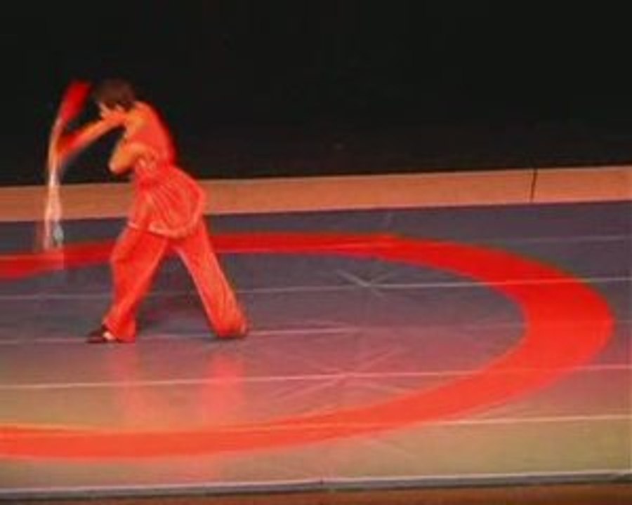 Toboggan 2008 - sabre