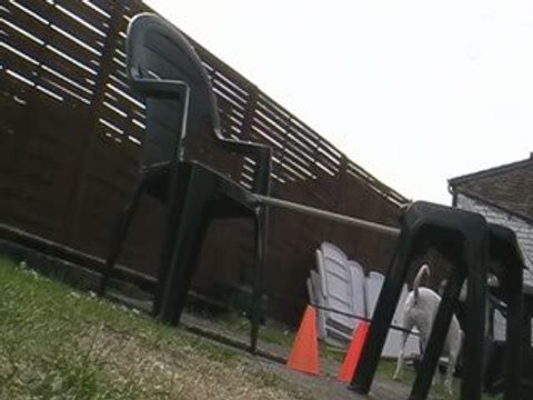 Ma chienne Qui Saute =D