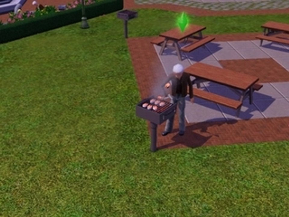 Sims 3 grillade