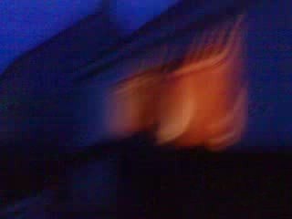 Lili , la Limace et Moi :p