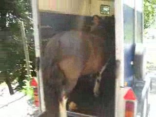 Lady qui monte dans le van.