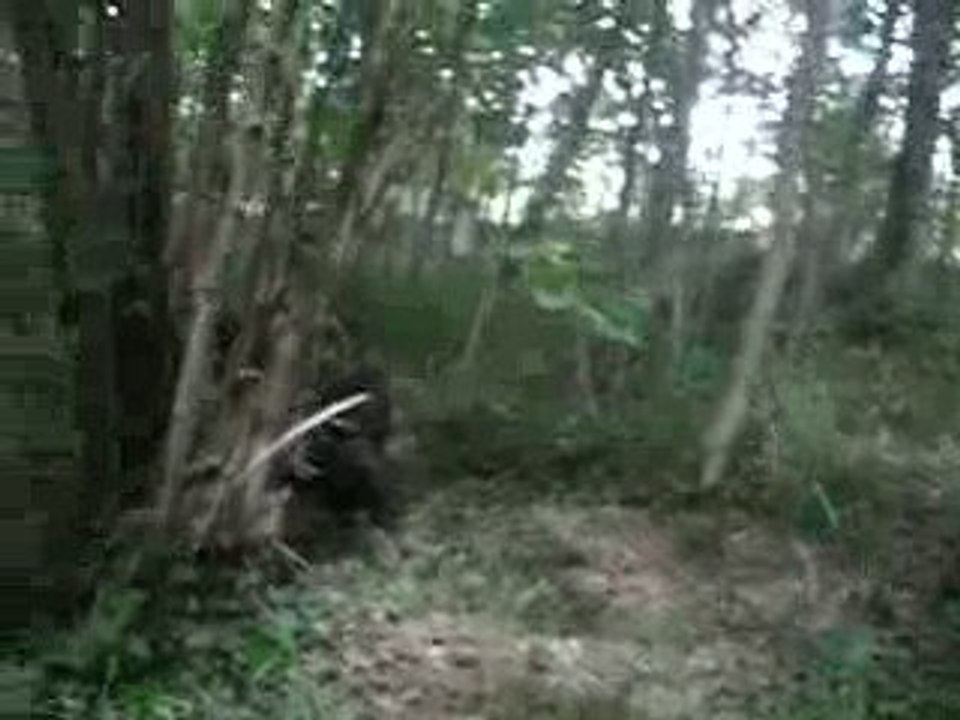 parti airsoft avec la COS et la  ATP et gima50 020