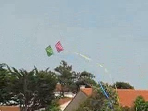 La Bernerie en Retz : zoom cerf volant