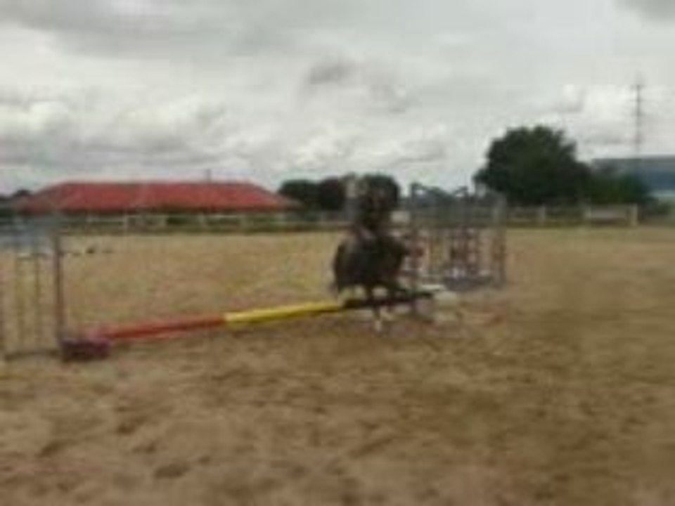 C��lia clochettte oxer