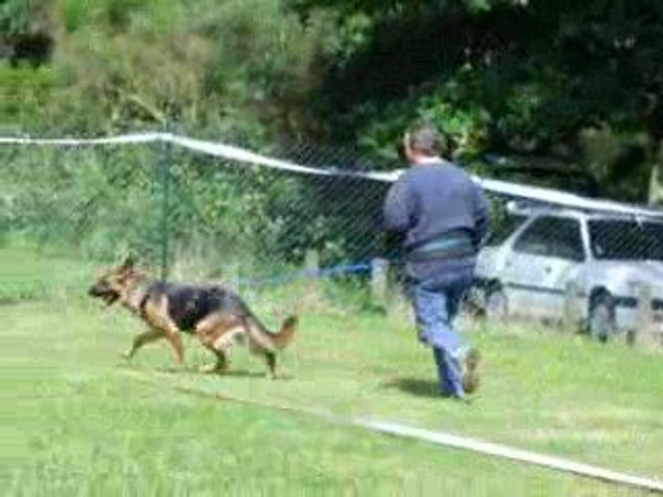 SCBA76juin09+chiots 116
