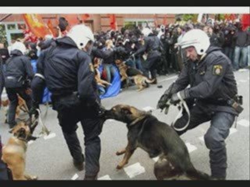 FU(N)K THE POLICE