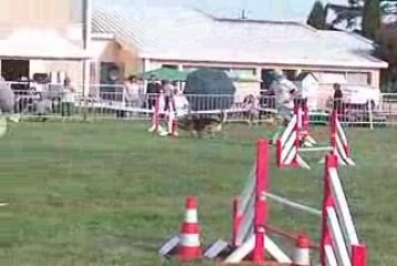 Brooks Open IPAC 210609