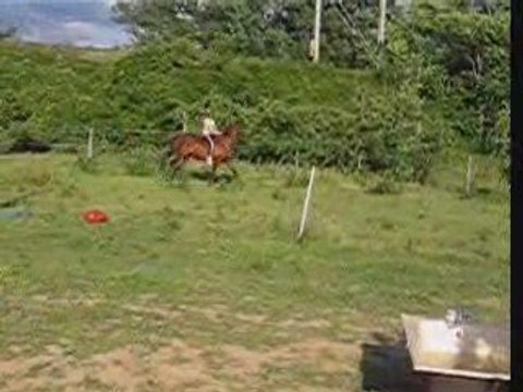 Travail Akella 21 juin 2009