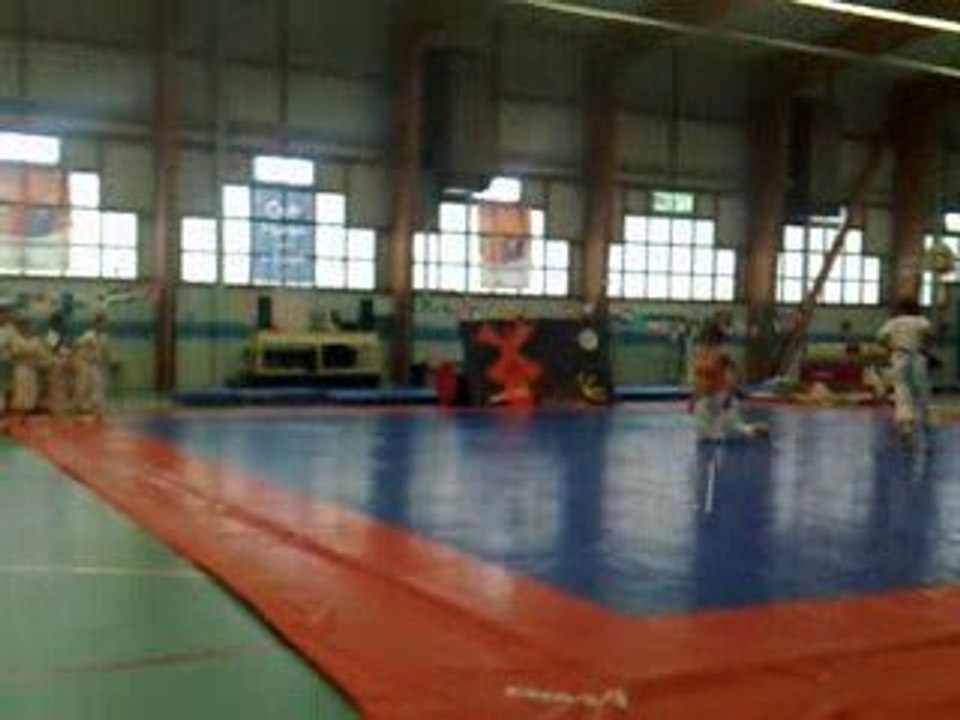 un beau spectacle de gymnastique