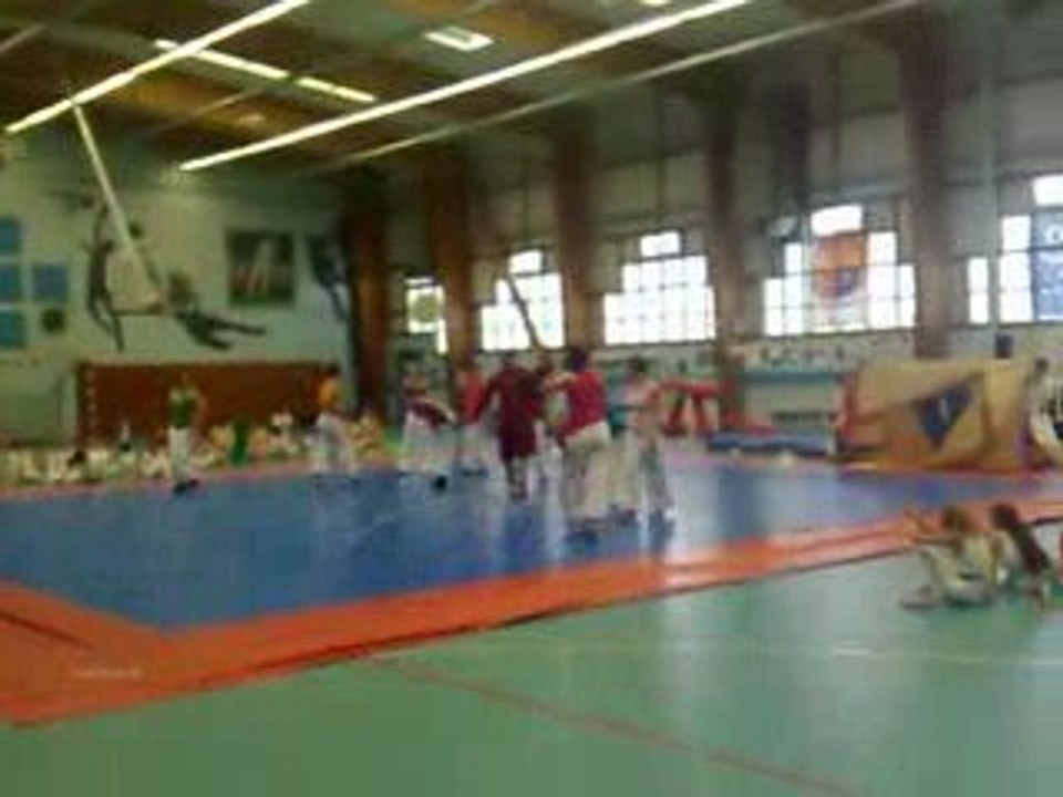 spectacle de ymnastique