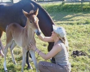 pilasha ag  VALLEY OF ANGELS