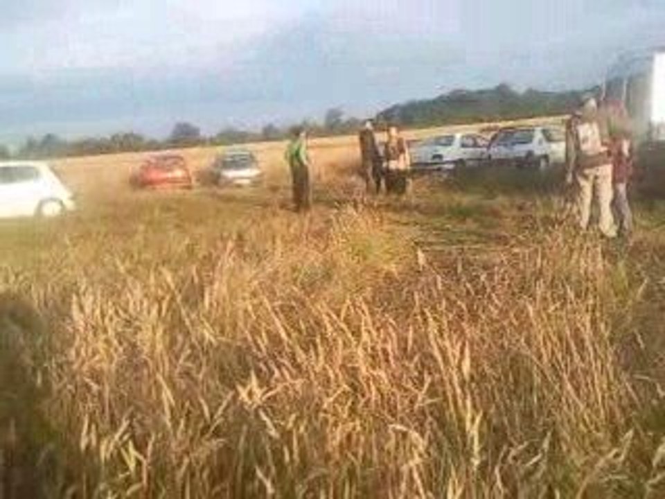 Tekos \ RDC \ Rats Des Champs