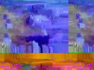 Heber Jentzsch Arrested