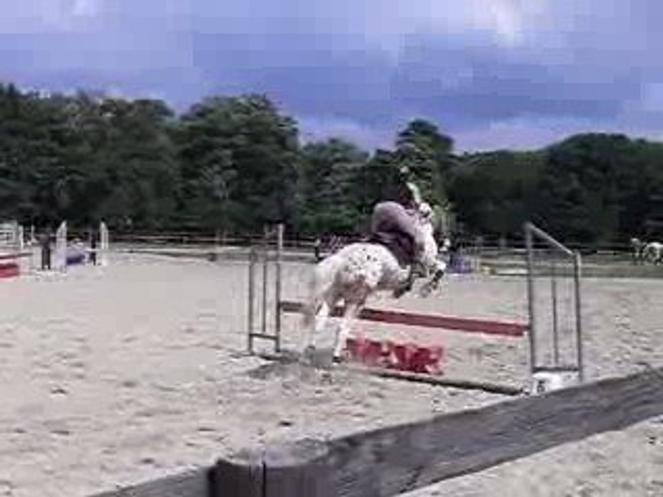 Parcours 80cm au haras avec Malcom