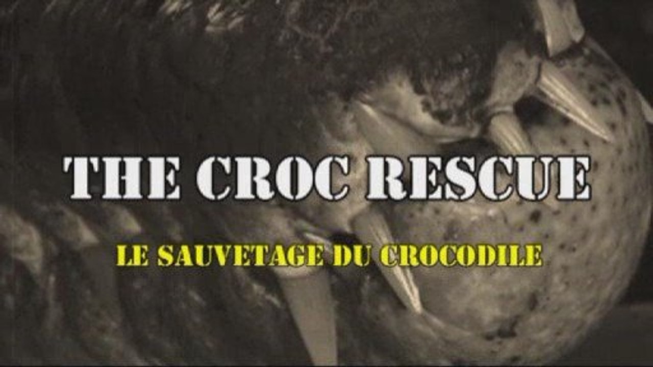 The croc rescue