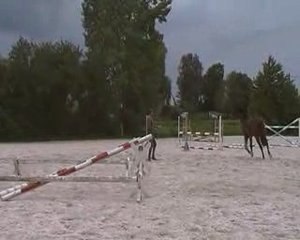 Sprint du Rouet Cavaletti avec 2 barres en V