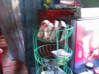 RESTAURANT A MAJULI ( INDE )