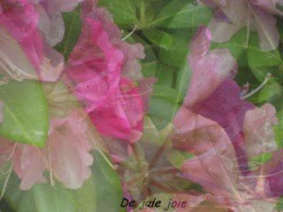 AU JARDIN DES FEES