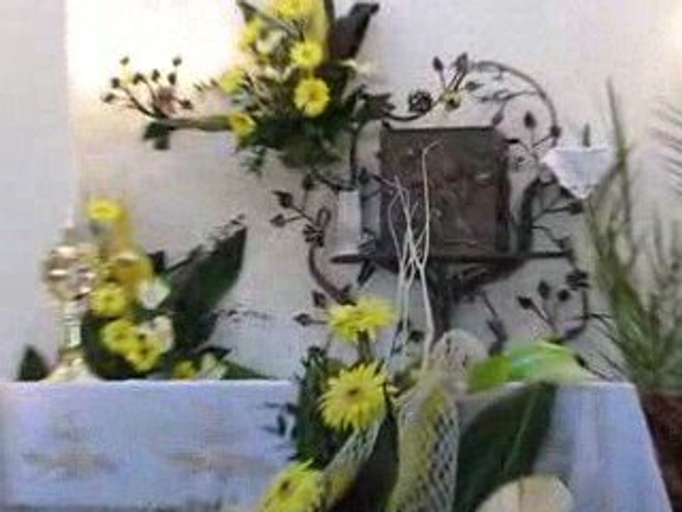 Odpust parafialny Wola Mielecka 14 czerwca 2009 cz.2