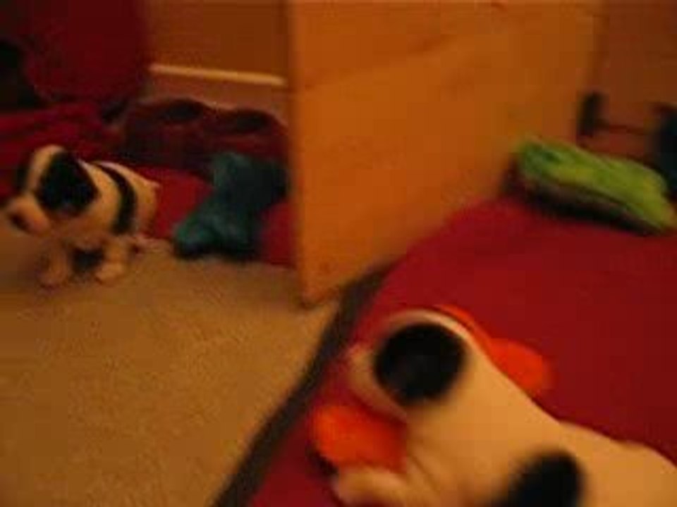 Les 6 crapules (J22) III