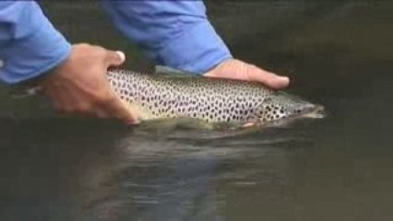 Pêche en Béarn-Pays basque