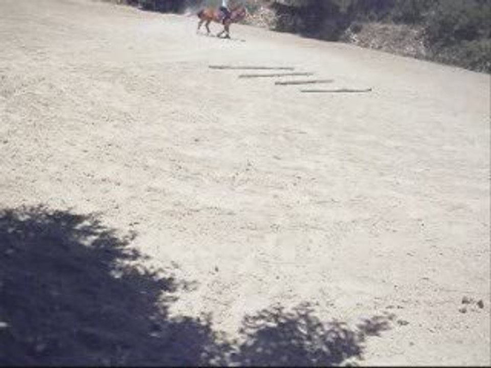 22.06.06  :  Barre au Sol  : Sautage de Barre