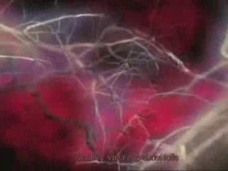 2x3 EMI l'expérience interdite