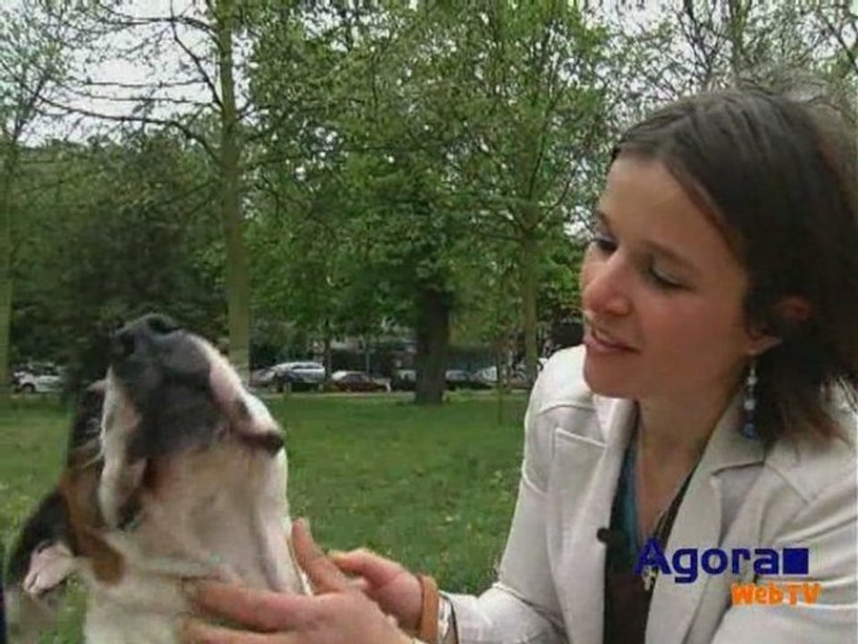 ENTRE CHIENS ET NOUS : NOURRIR SON CHIEN