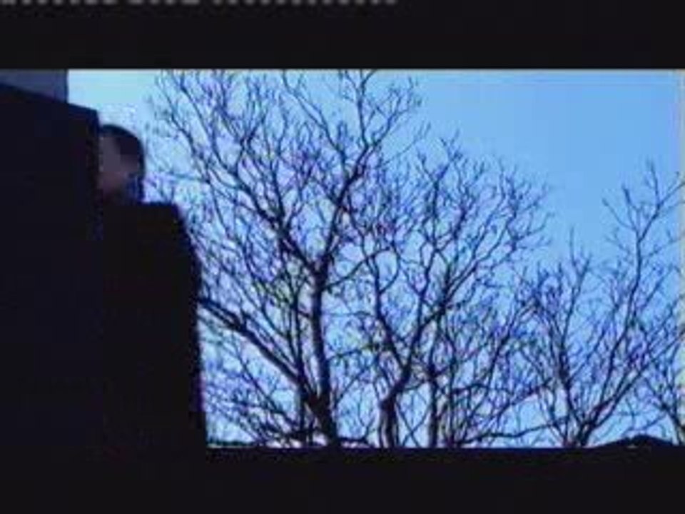 Insomnium - The Elder