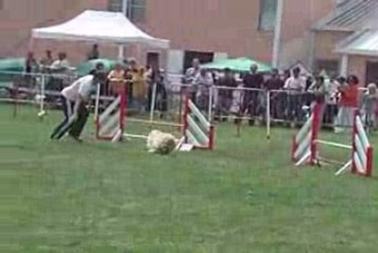 Uk Jumping IPAC 210609