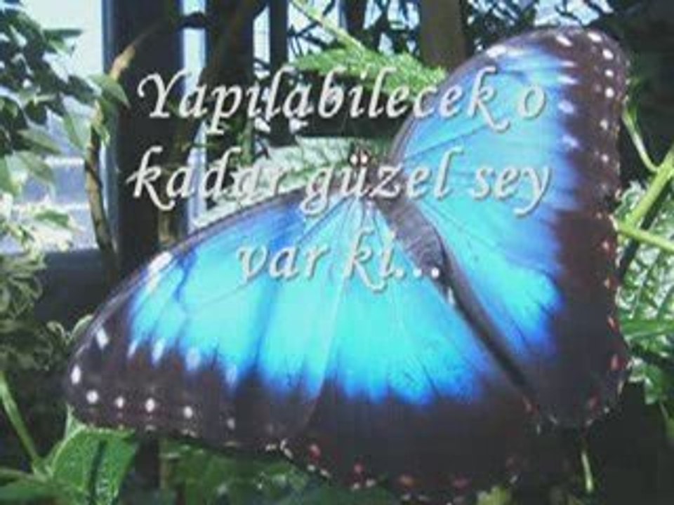 BASLA ARTIK