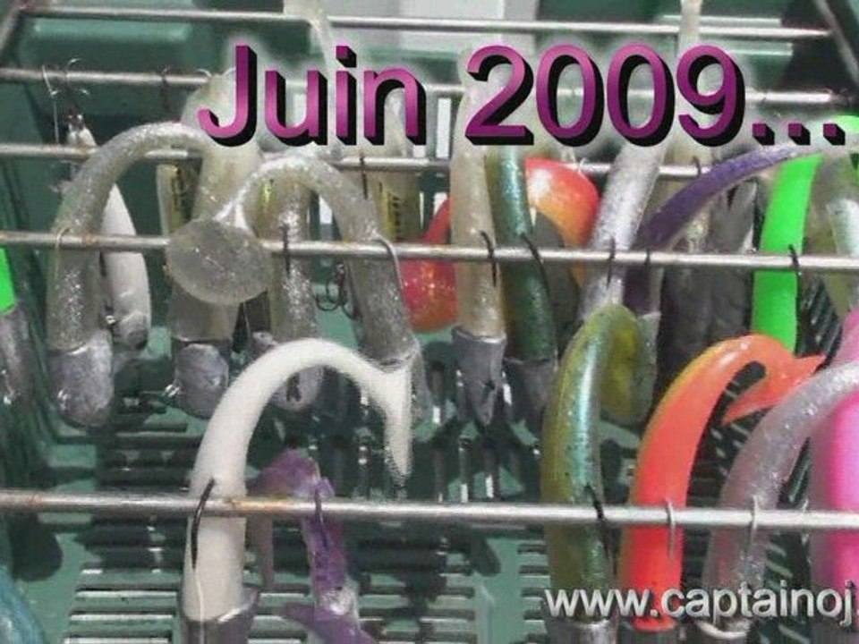 Peche au bar - Les poissons de juin 2009