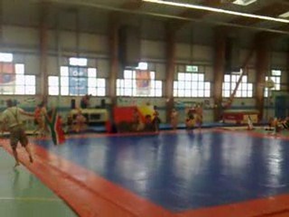 spectacle de fin d'année gymnastique